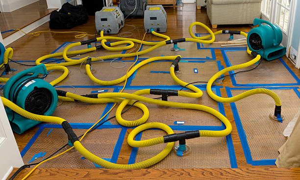 Professional Structural Drying And Dehumidification technician working in Kingston, TN